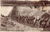 Canada's 
Mobalization Camp
Valcartier
September 22, 1914
Front
