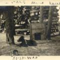 3rd Sec. 4th D.A.C.'s Mascot
"Bush Wah" 8 Wks old
Petawawa, On
July 1, 1916
Front only