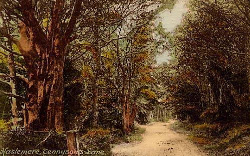 Tennyson's Lane #1
In Haslemere
Front