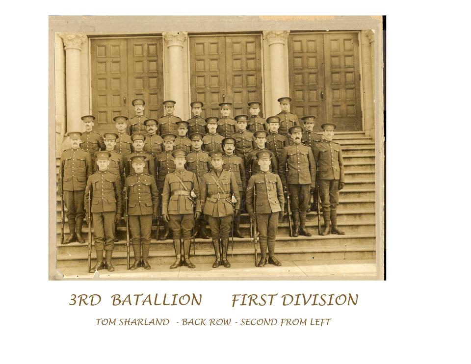 3rd Batallion, 1rst Division